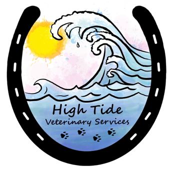 High Tide Veterinary Services - Veterinarians Near Me - Soda Springs, California High Tide Veterinary Services - Veterinarians Near Me - Soda Springs, California