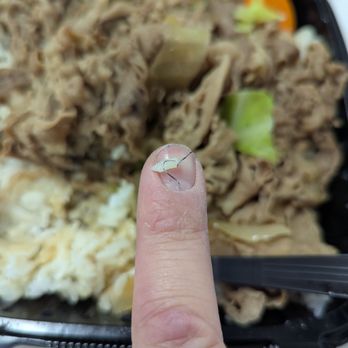 Yoshinoya Alhambra - Metal shaving? - Fast Food Near Me - Alhambra, California Yoshinoya Alhambra - Metal shaving? - Fast Food Near Me - Alhambra, California