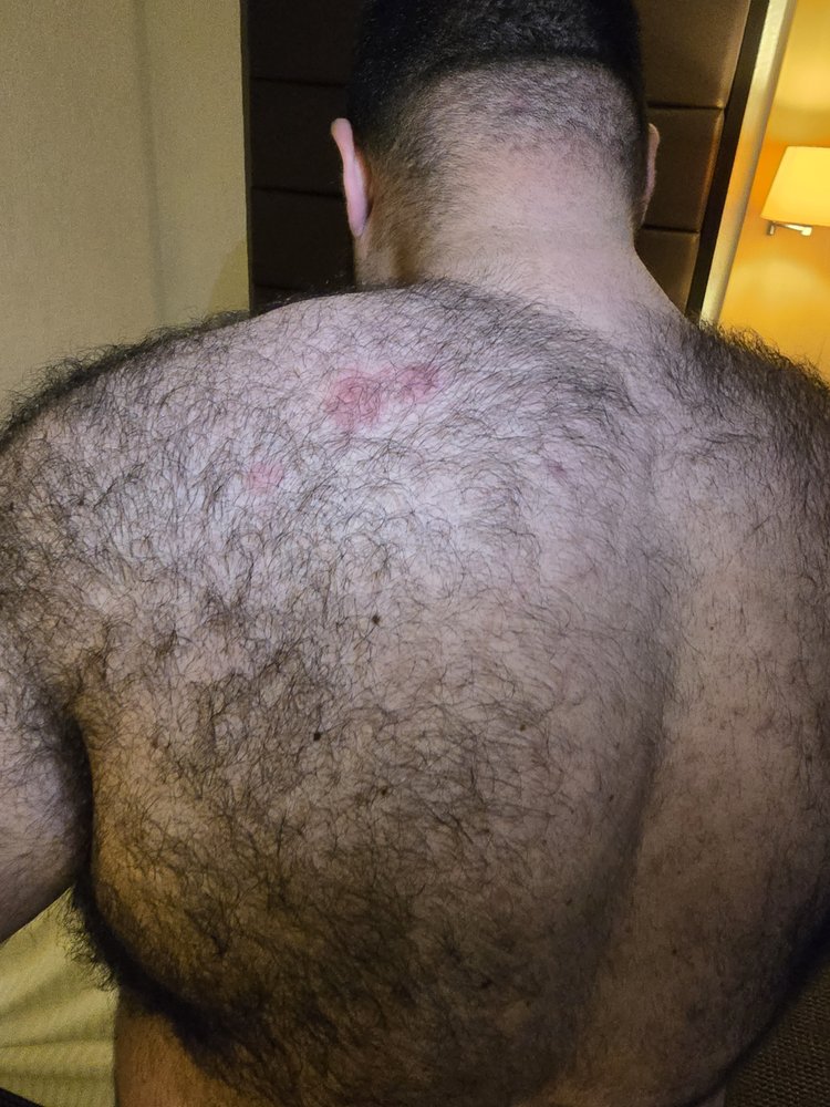 Hotel Royal Pedregal