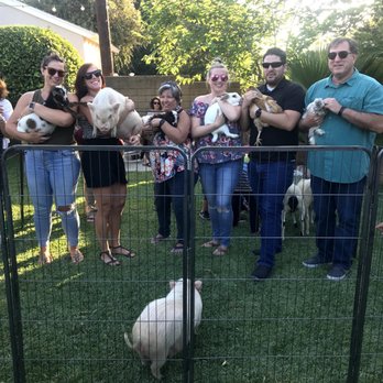Magical Minis Petting Zoo - Family photot - Ranches Near Me