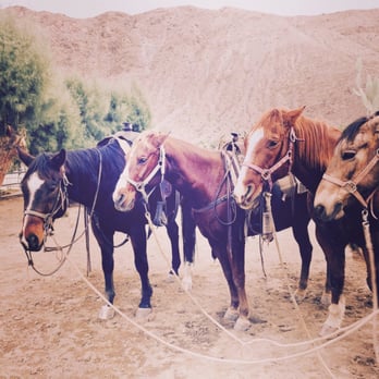 Smoke Tree Stables - Horses at Smoke Tree Stables. - Horseback Riding Near Me - Palm Springs, California Smoke Tree Stables - Horses at Smoke Tree Stables. - Horseback Riding Near Me - Palm Springs, California