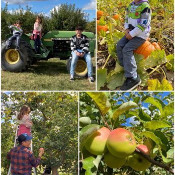 Hidden Acres Orchards - Apple orchard - Fruits & Veggies Near Me - Mead, Washington Hidden Acres Orchards - Apple orchard - Fruits & Veggies Near Me - Mead, Washington