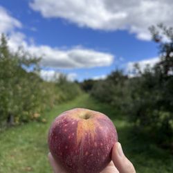 Eddy's Fruit Farm
