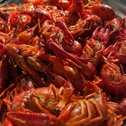 Authentic Japanese, Chinese and American Cuisine