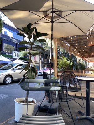 Chiquitito Café by null