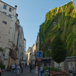 L'Oasis d'Aboukir