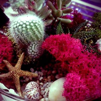 Joy's Flowers Pot - Florists Near Me - New York, New York