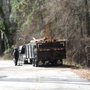 Photo of AEL Land Clearing and Trash Removal