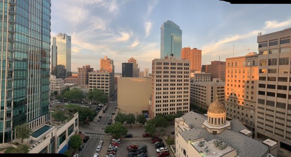 branch & bird by null