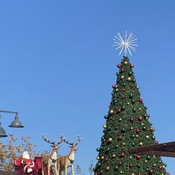 Plaza De Las Cruces