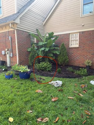 Stringer's Garden Centers