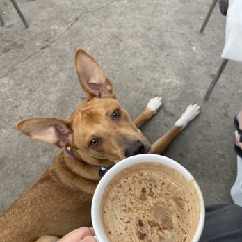 Toast on First - mexican mocha latte - Coffee & Tea Near Me - Whittier, California Toast on First - mexican mocha latte - Coffee & Tea Near Me - Whittier, California
