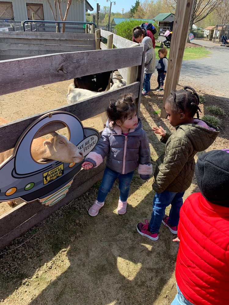 Freetown Friends School LLC - childcare center in Reston, VA