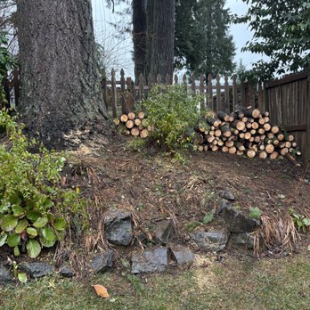 Bonnell Tree Technicians - Finished work area - Tree Services Near Me - Cosmopolis, Washington