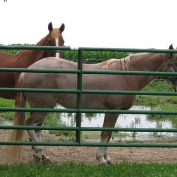 Marcia's Bed and Breakfast - Fritz & Mary (Merry-Go-Round) - Bed & Breakfast Near Me - Ottawa, Illinois