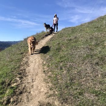 Briones Regional Park - Parks Near Me - Martinez, California Briones Regional Park - Parks Near Me - Martinez, California