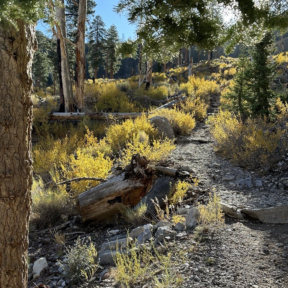 Cathedral Rock - Hiking Near Me - Mt Charleston, Nevada