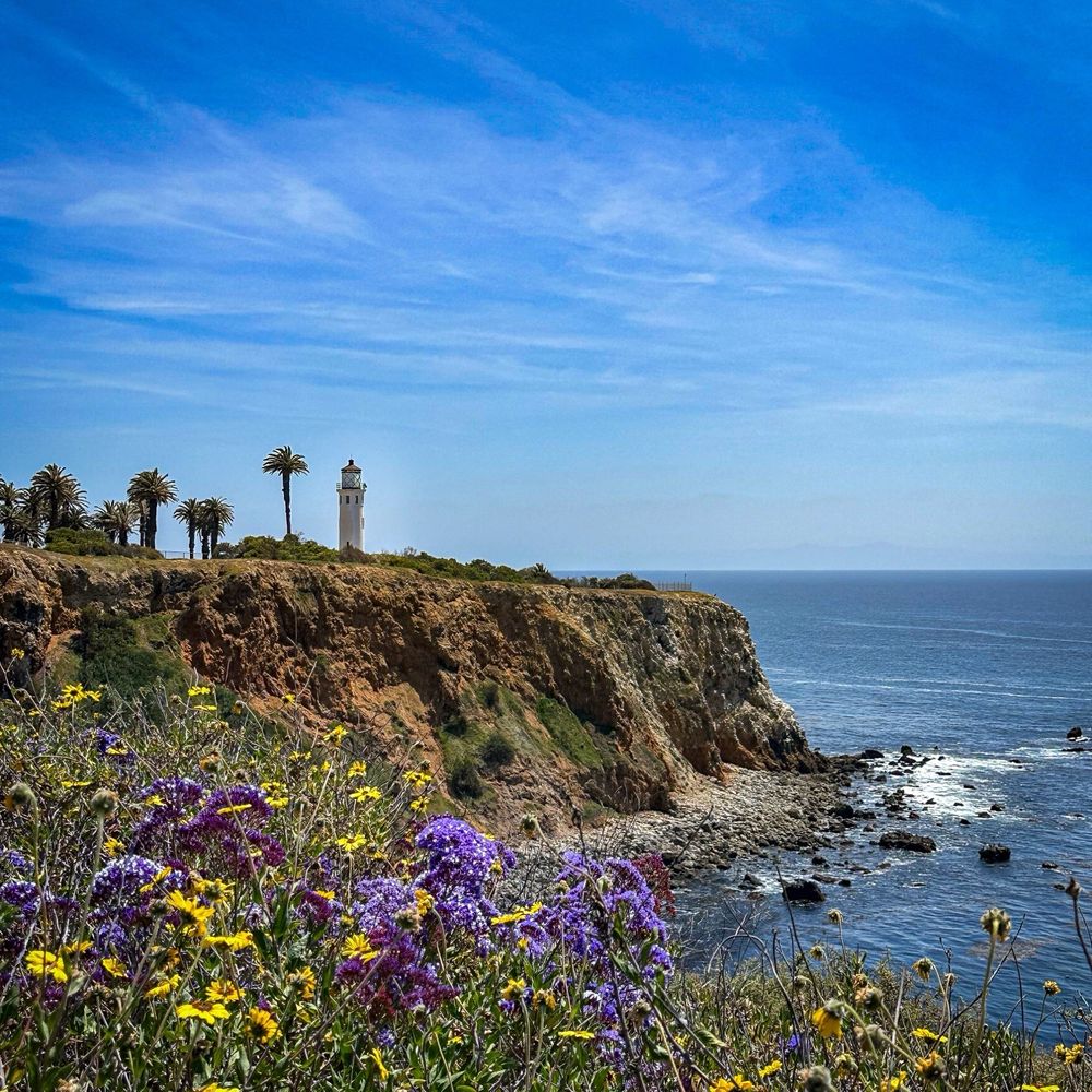 TOP 10 BEST Nudist Beach in Redondo Beach, CA - Updated 2026 - Yelp