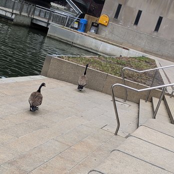 Chicago Riverwalk - Landmarks & Historical Buildings Near Me - Chicago, Illinois