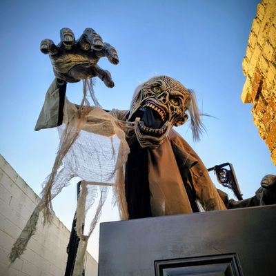 Porters Western Saloon by null