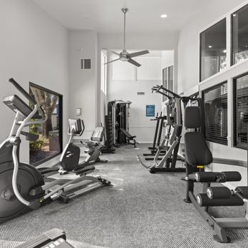 Pointe At Carrollwood - Apartments Near Me - Tampa, Florida Pointe At Carrollwood - Apartments Near Me - Tampa, Florida