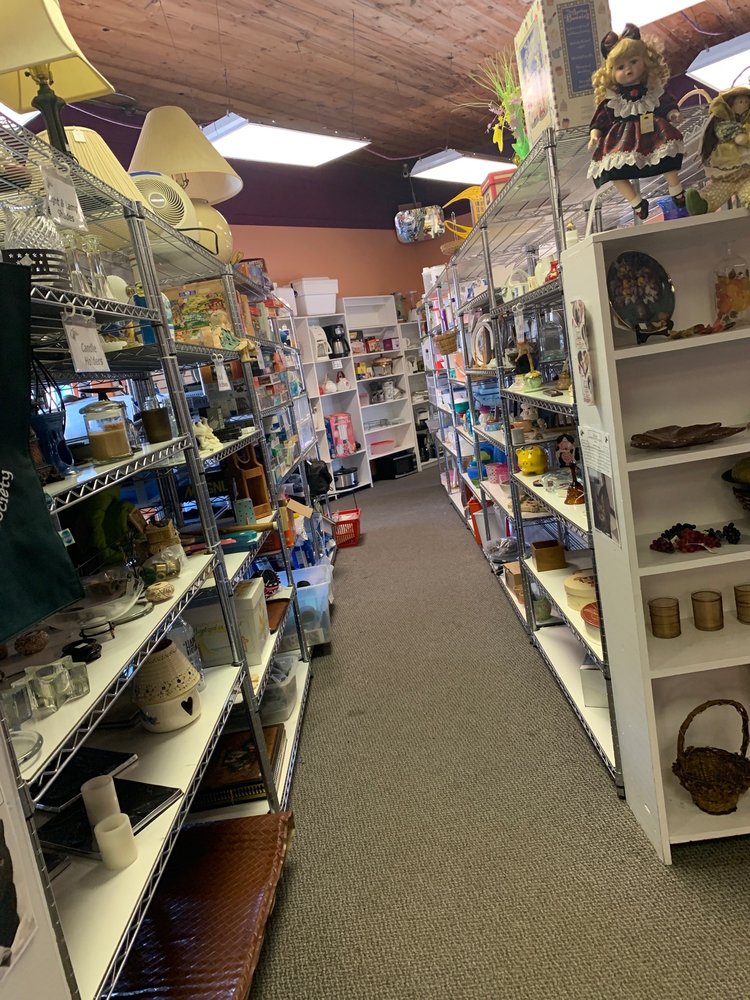 PAWS AND SHOP THRIFT STORE Animal Shelters 110 W Lake St, Mount