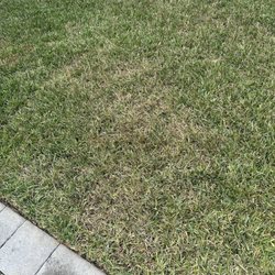 Drake Lawn & Pest Control - Fungus