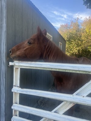 1760 Homestead Farm by null