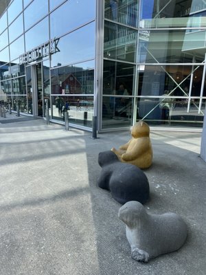 Tromsø City Library and Archive by null