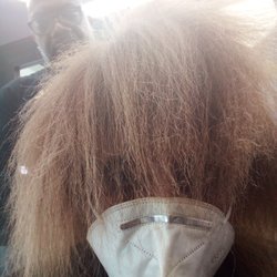 Paisley Park Hair Salon - This is the condition of my hair 2 months after being colored by Tee Windom of Paisley Park Salon. I had been a customer for 12 years.