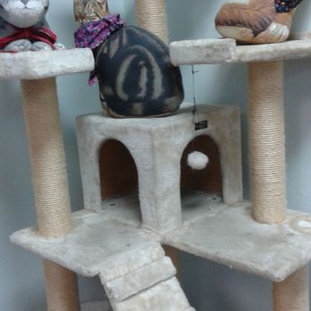 All Creatures Veterinary Hospital - Veterinarians Near Me - Dublin, California