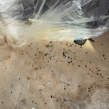 Public Storage - Floor covered with rat droppings - Self Storage Near Me - Douglasville, Georgia Public Storage - Floor covered with rat droppings - Self Storage Near Me - Douglasville, Georgia