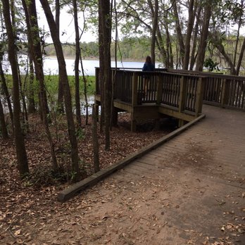 Alfred B  Maclay Gardens State Park - Overlook at lake - Parks Near Me - Tallahassee, Florida