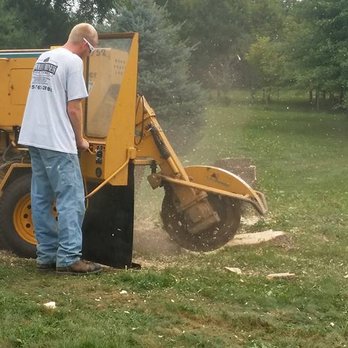 Bowman Maness Tree Service - Tree Services Near Me Bowman Maness Tree Service - Tree Services Near Me
