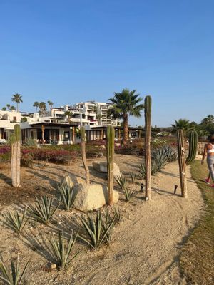 Las Ventanas al Paraiso, A Rosewood Resort by null