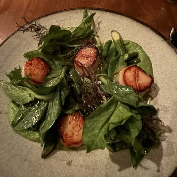 Collina - Pan Seared Day Boat Scallops - Italian Near Me - San Francisco, California Collina - Pan Seared Day Boat Scallops - Italian Near Me - San Francisco, California