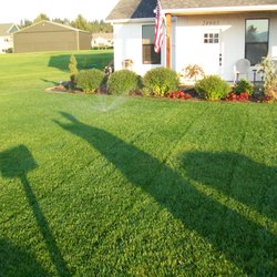 Inland Sod - We installed sod and direct seeded - can you tell the difference?