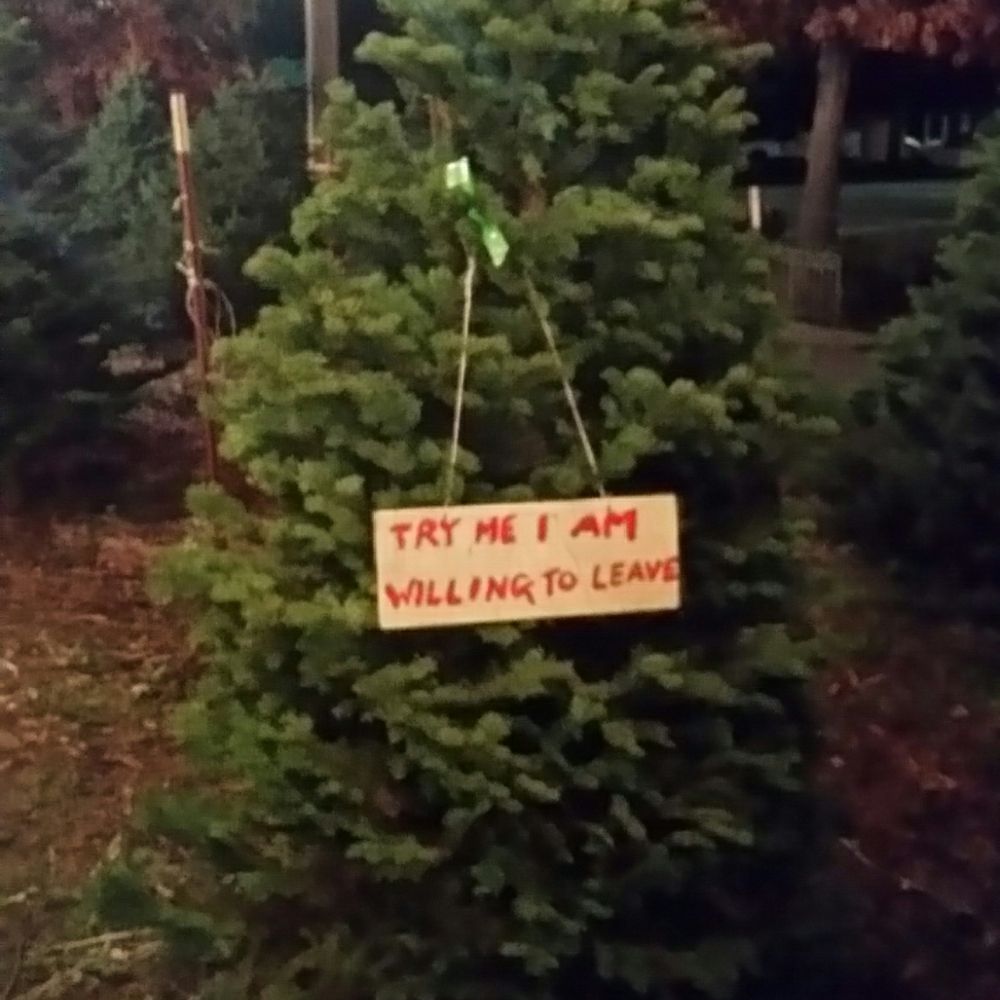 Harlem Shake (meme) - Wikipedia, image size:1000x1000