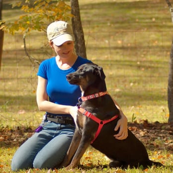 Cold Nose College - Pet Training Near Me Cold Nose College - Pet Training Near Me