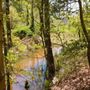 Photo of Broad Creek Park