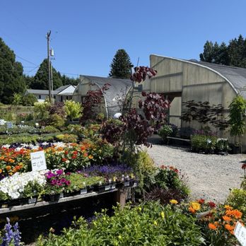 Cascade Greenhouse - My favorite place now - Nurseries & Gardening Near Me - Vancouver, Washington