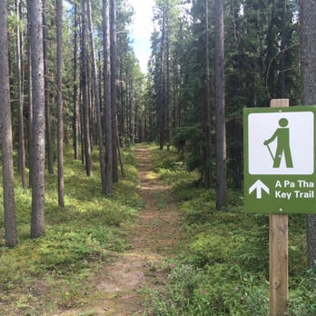 Pierre Grey Lakes campgrounds - Great trail which leads to a small camp and a geocache - Campgrounds Near Me - Greenview No. 16, Alberta