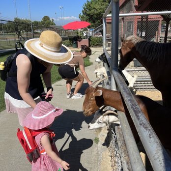 Montebello Barnyard Zoo - Friendly goats to feed. - Petting Zoos Near Me - Montebello, California Montebello Barnyard Zoo - Friendly goats to feed. - Petting Zoos Near Me - Montebello, California