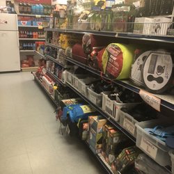 Lake Monroe Boat Rental - Tents and camping supplies
