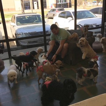 Fireplug Bed & Bath - Playtime! - Pet Sitting Near Me - Katy, Texas