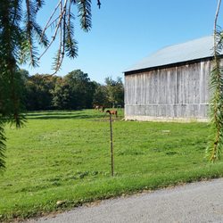 Vowinckel Hotel - Happy Fall from Vowinckel