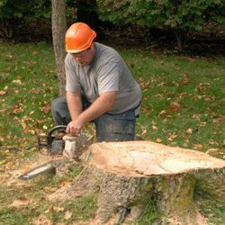 Linander's Tree Service