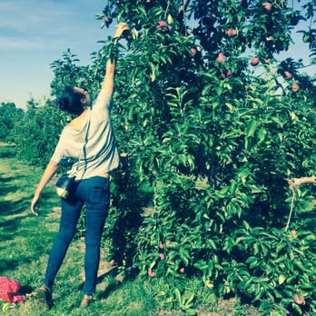 Libby & Son U-Pick - Pick Your Own Farms Near Me - Limerick, Maine