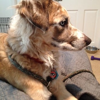Sauk Point Veterinary Clinic - Veterinarians Near Me - Madison, Wisconsin