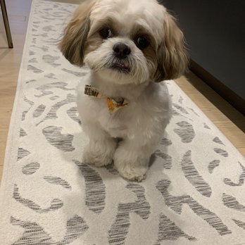 Head to Tail - Pet Stores Near Me - Cliffside Park, New Jersey
